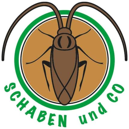 Heterothele villosella