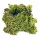 Dragon Island Moos grün im Detail