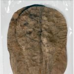 HABISTAT CATAPPA LAUB 10X