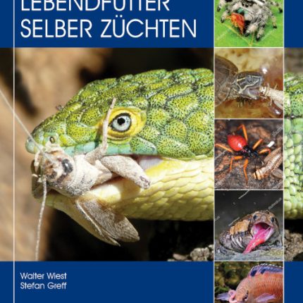 Lebendfutter selber züchten
