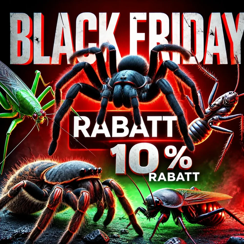 KI-generiertes Bild: Black Friday โ 10 % Rabatt, Vogelspinnen, Gottesanbeterin und Schabe